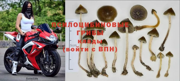 кокс Аркадак