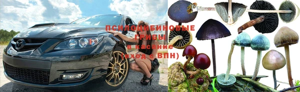 меф Арсеньев