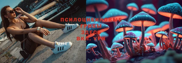 меф Арсеньев